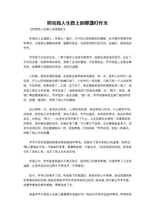 照亮我人生路上的那盏灯作文