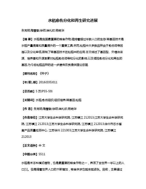 水稻愈伤分化和再生研究进展