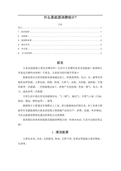 什么是能源消费统计？