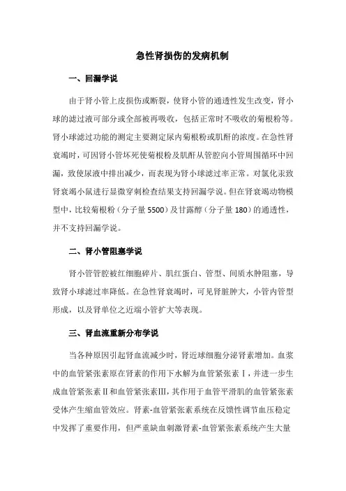 急性肾损伤的发病机制