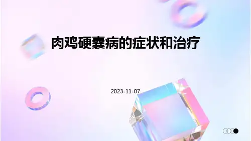 肉鸡硬囊病的症状和治疗