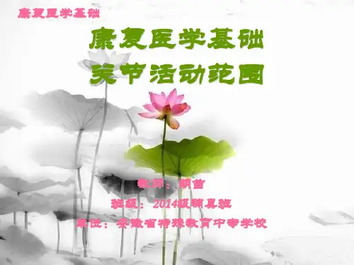 关节活动度评定详解