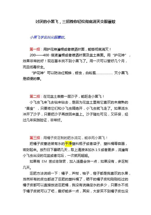 讨厌的小黑飞，三招教你轻松彻底消灭尖眼蕈蚊