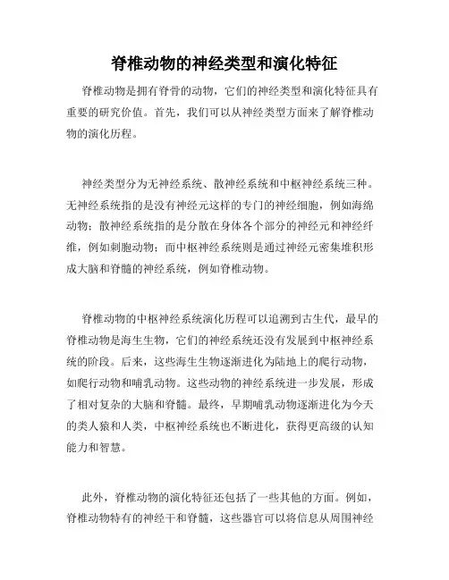 脊椎动物的神经类型和演化特征