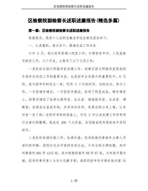 区检察院副检察长述职述廉报告