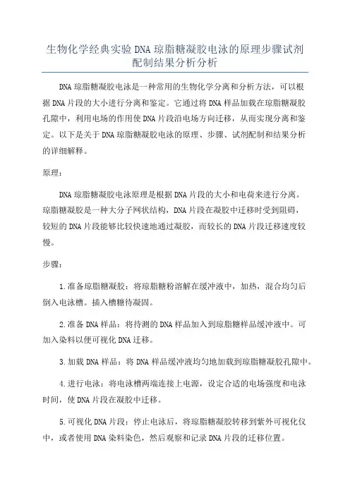 生物化学经典实验DNA琼脂糖凝胶电泳的原理步骤试剂配制结果分析分析