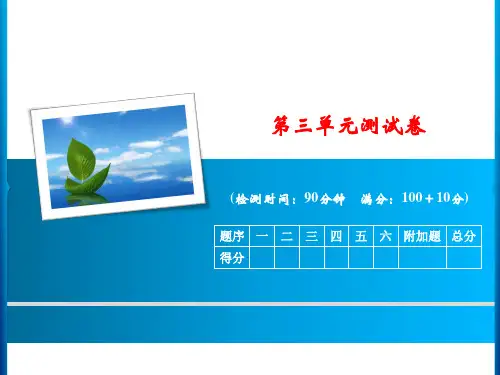 人教新课标六年级上册数学习题课件：第三单元测试卷 (共15张PPT)
