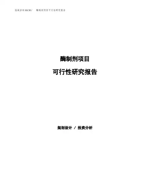 酶制剂项目可行性研究报告(可编辑)