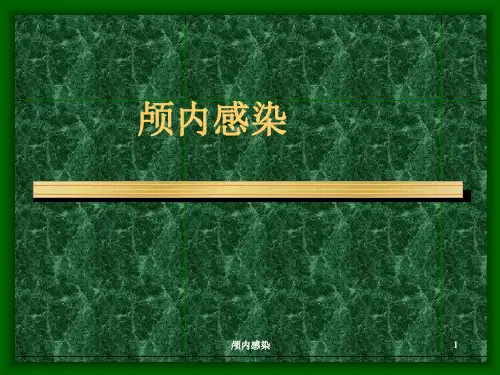 颅内感染ppt课件