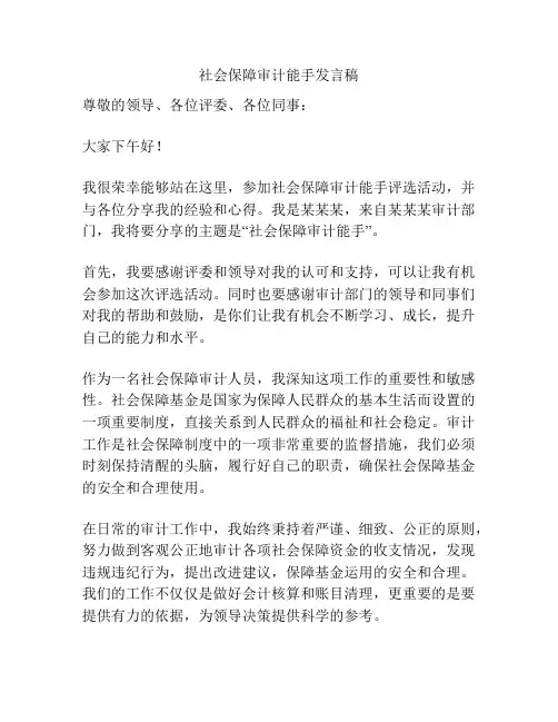 社会保障审计能手发言稿