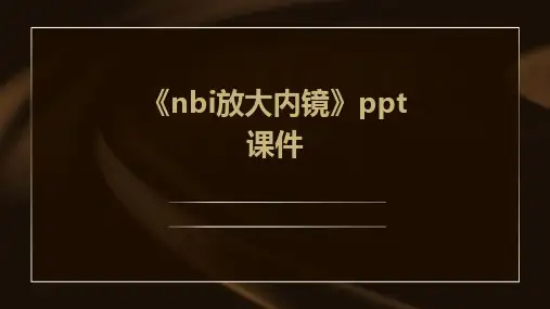 《NBI放大内镜》课件