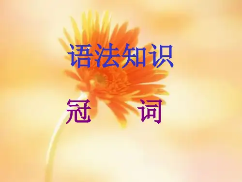 冠词语法精讲PPT精品文档
