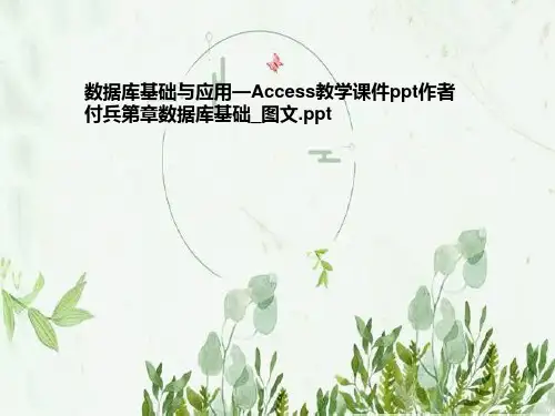 数据库基础与应用—Access教学课件ppt作者付兵第章数据库基础_图文