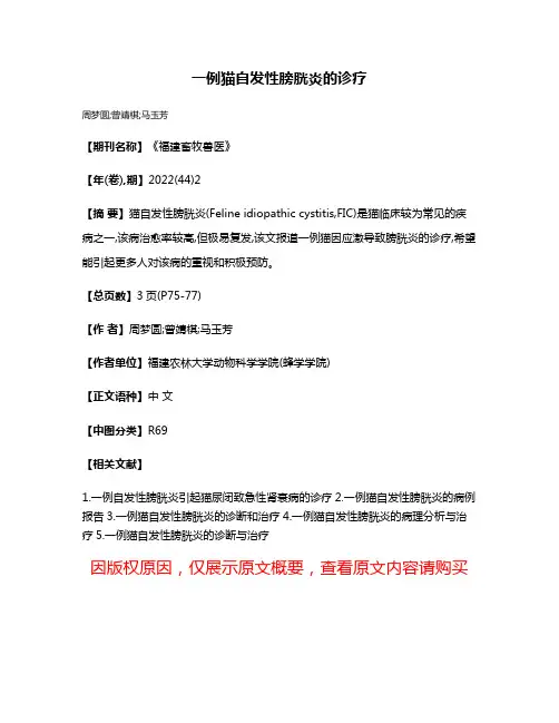 一例猫自发性膀胱炎的诊疗