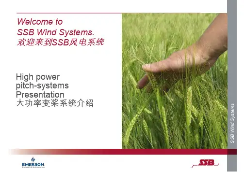 SSB_海上风机_ppt