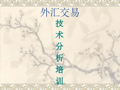 外汇交易技术分析PPT课件