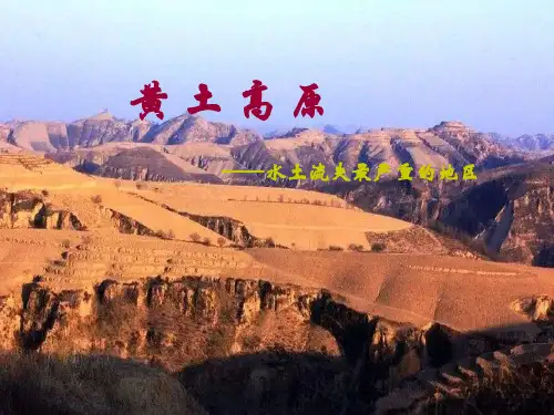 黄土高原
