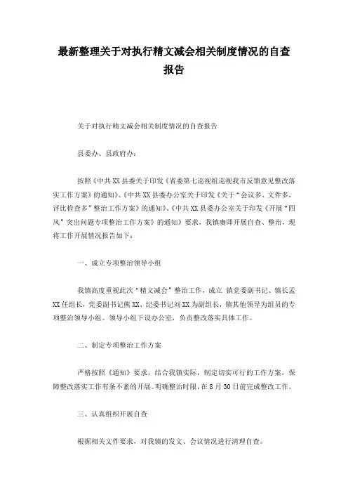 最新整理关于对执行精文减会相关制度情况的自查报告.docx