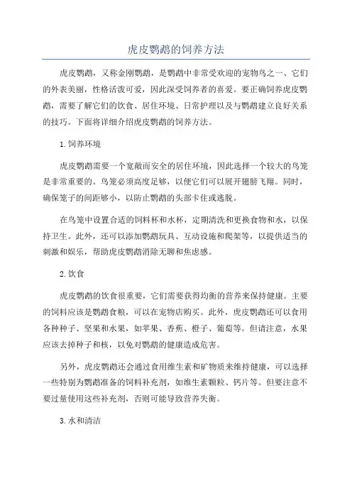 虎皮鹦鹉的饲养方法