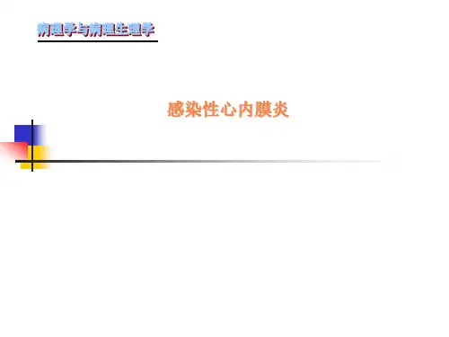 感染性心内膜炎PPT课件