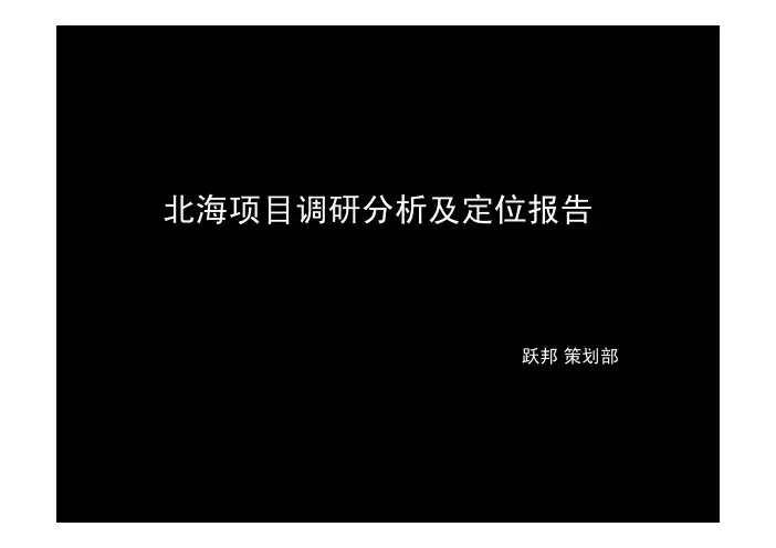 北海项目调研分析及定位报告