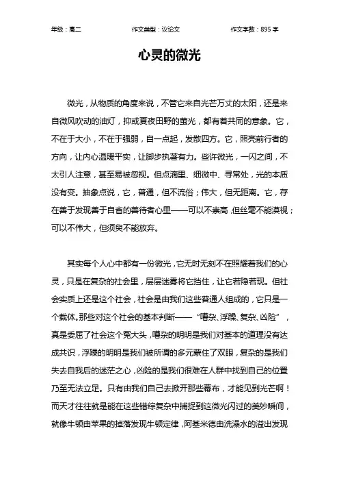 心灵的微光作文【高中高二900字】