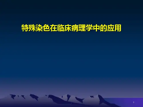 特染PPT课件
