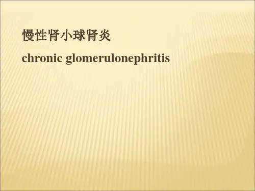慢性肾小球肾炎教学查房ppt课件