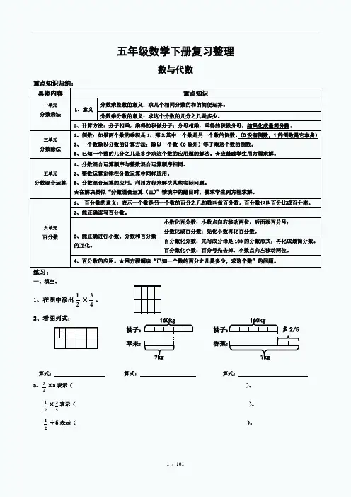 北师大版五年级下册数学各大板块总复习整理