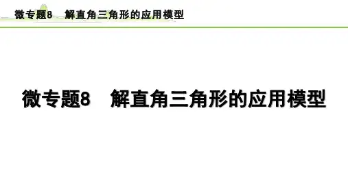 解直角三角形的应用模型初中数学模型