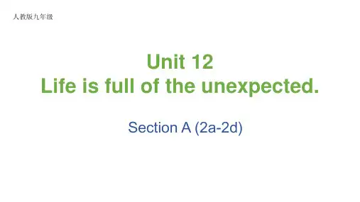 Unit12SectionA2a-2d课件人教版九年级英语全册