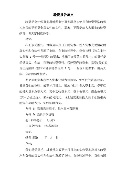 验资报告范文