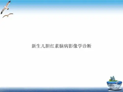 生儿胆红素脑病影像学诊断PPT培训课件