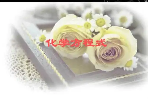 九年级化学《化学方程式》PPT课件
