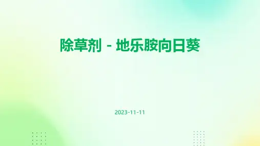 除草剂-地乐胺向日葵