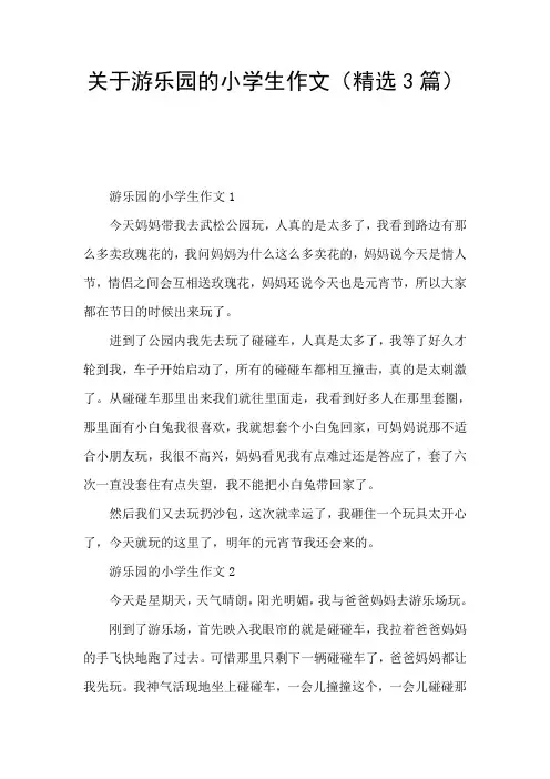 关于游乐园的小学生作文(精选3篇)