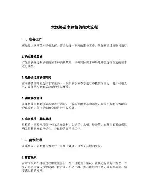 大规格苗木移植的技术流程进行