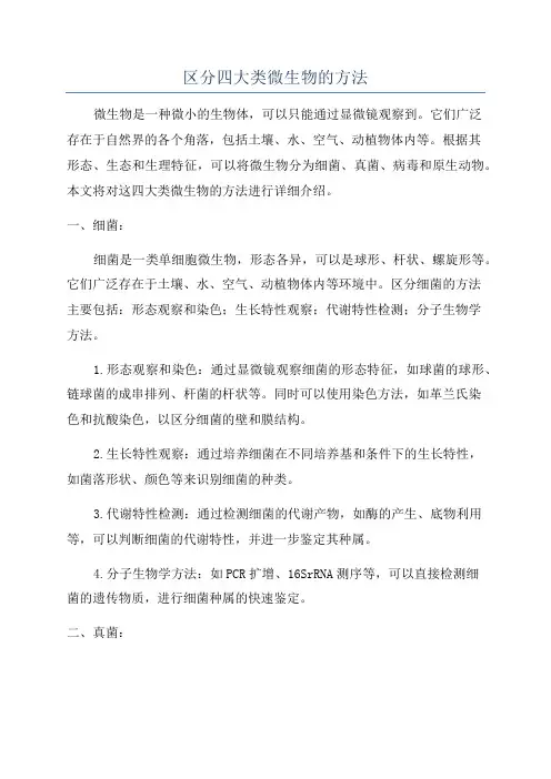 区分四大类微生物的方法