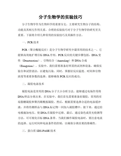 分子生物学的实验技巧