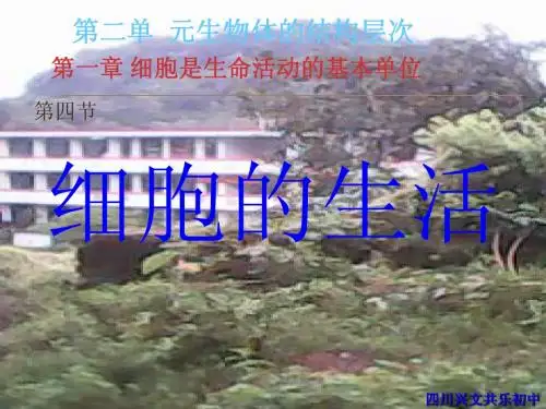 生物新课标人教版第二单元 第一章 第四节 细胞的生活