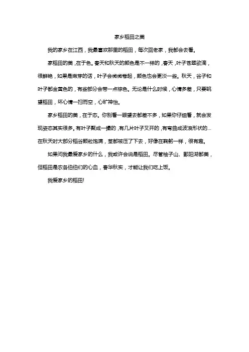 家乡稻田之美