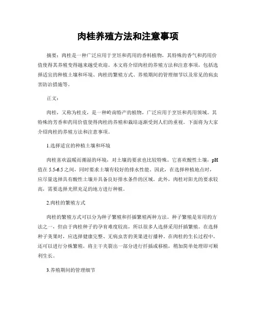 肉桂养殖方法和注意事项
