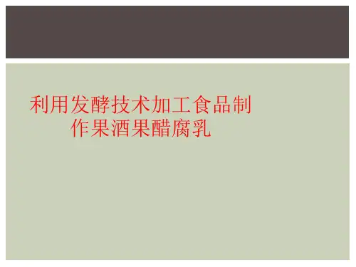 利用发酵技术加工食品制作果酒果醋腐乳