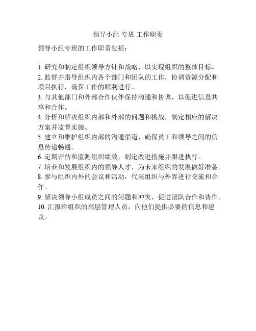 领导小组 专班 工作职责