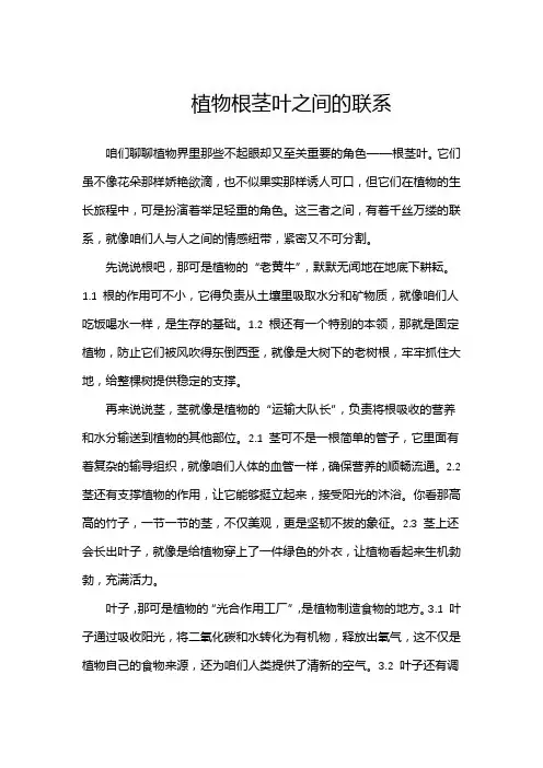 植物根茎叶之间的联系