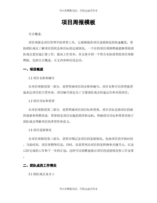 项目周报模板