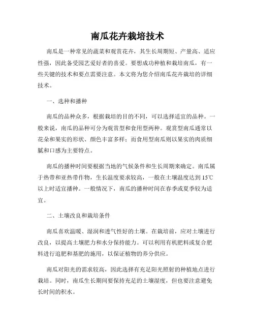 南瓜花卉栽培技术