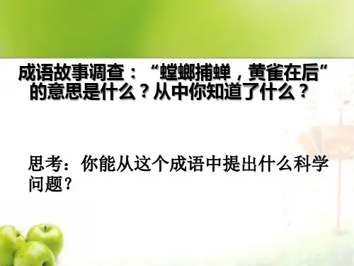 小学科学   六年级下册《有趣的食物链》PPT课件