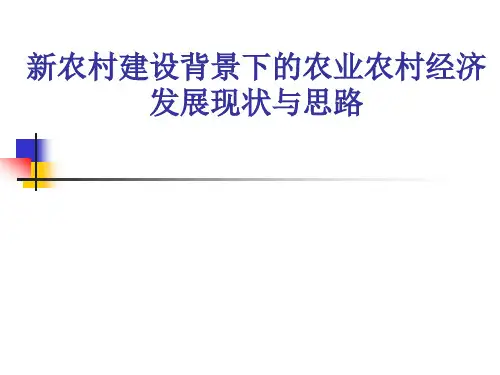 新农村建设背景下的农业农村经济发展现状与思路.pptx