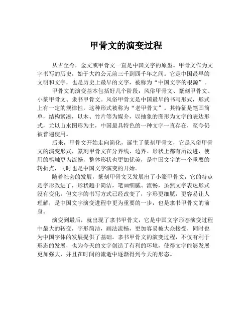 甲骨文的演变过程